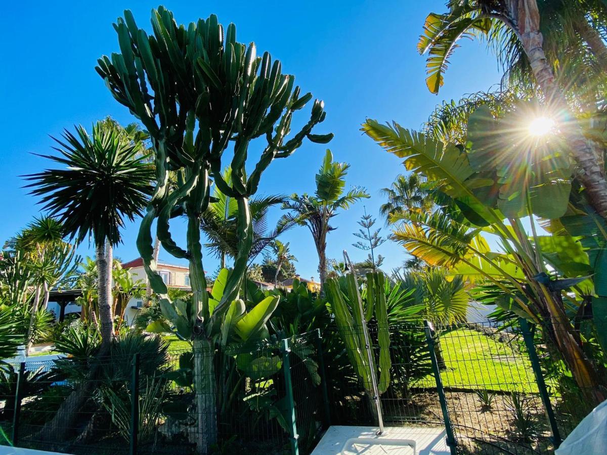 With Tropical Garden And Sea Water Pool Appartement Marbella