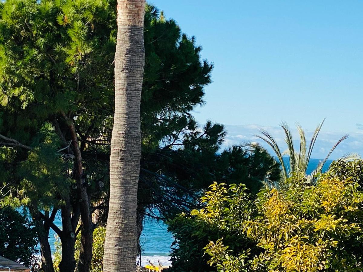 With Tropical Garden And Sea Water Pool